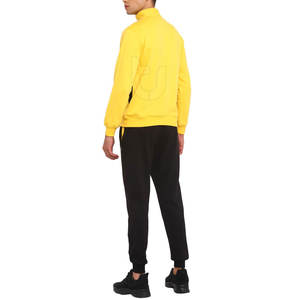 Conjunto de chándal de dos piezas de algodón 100% personalizado para hombre, nuevo diseño a granel, ropa de invierno de talla grande, respetuoso con el medio ambiente - Product Image 2