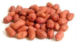 Cacahuetes Crudos Secos Orgánicos Premium 38/42 - Granos Grandes Ricos en Proteínas, Semillas de Sésamo, Calidad de Exportación, Empacados Higiénicamente 25kg 1 - Product Image 6