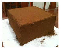 2025 Top vente lavé coco Cocopeat palette briques haute EC 5kg Coco tourbe blocs jardin plante planification sol matériel graine utilisation