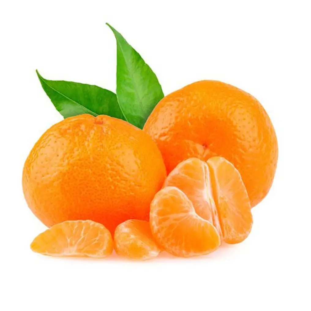 South Africa Oranges/Fresh Navel Orange /hybrid