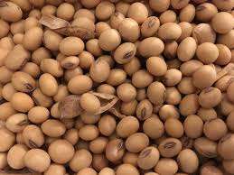 Non-GMO <b>Soybeans</b> Wholesale Clean High Protein, Low Moisture - Product Image 4