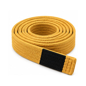 Cinturón de Karate de Artes Marciales de Alta Calidad y Material Duradero, Diseño Profesional, Hecho en Pakistán - Product Image 1