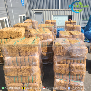 PALM MAT / COCONUT MESH Best Size 2m X 20m Efficient Soil Protection: Factory-Priced Coir Mesh Export - Product Image 5