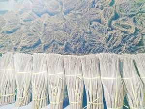 Escobas vietnamitas Escobas de coco hechas de palo de escoba de coco Precio atractivo por Vigi Farm - Product Image 4