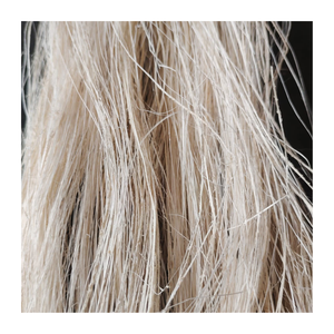Fibre de tige de banane 100% naturelle pour le filage, l'artisanat textile, les produits écologiques durables (brute) - Product Image 1