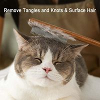 Peigne pour animaux de compagnie en bois Portable facile à utiliser pour l'épilation des chats élimination des nœuds beauté propre peigne à puces peigne à puces pour chien fournitures pour animaux de compagnie