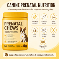 Complément prénatal pour chiens, croquettes molles pour le développement des chiots, pour les mamans canines gestantes, soins de lactation, marque privée, vente en gros, B2B