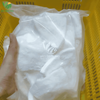 LQF Diepvries jonge kokosnootpulp uit Vietnam in vacuümverpakking & bulkverpakking voor sapbereiding