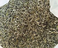 Shan Snow Tea 100% Origine Naturelle Goût Pur Haute Montagne Sans OGM Haute Qualité (Whatsapp 84-975 499 129)