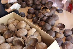 ชุดอาหารจากกะลามะพร้าว ชามสมูทตี้ ชามกะลามะพร้าวแบบเป็นมิตรกับสิ่งแวดล้อม ครึ่งใบ พร้อมบรรจุภัณฑ์แบบกำหนดเอง แกะสลักโลโก้ - Product Image 4