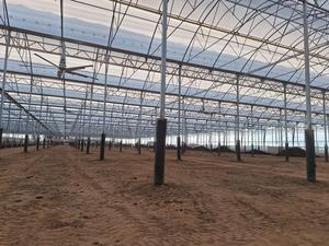 พัดลมอัจฉริยะ cowair hvls 400ครอบคลุมกว้าง - Product Image 3