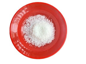 Coco Deshidratado en Polvo de Alta Calidad, Bajo en Grasa, con Sabor Afrutado, Nutritivo, Libre de Grasas Trans, Listo para Usar, en Bolsas de 1 kg - Product Image 1