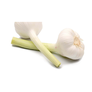 Ail frais pelé de qualité supérieure, en gros et à prix avantageux - Product Image 2