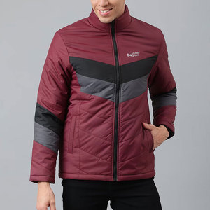 Vestes d'hiver matelassées personnalisées pour hommes, col montant, imperméables, à capuche, avec logo imprimé sur le devant, 100 % polyester, vente en gros - Product Image 1