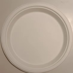 Platos desechables de fiesta de pulpa de caña de azúcar de bagazo biodegradable 6 7 8 9 10 pulgadas mayorista de INDIA - Product Image 4