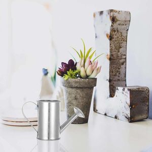 Arrosoir élégant en métal avec finition décorative Long bec poignée de transport facile grande capacité pour balcon jardin fleurs d'intérieur - Product Image 5