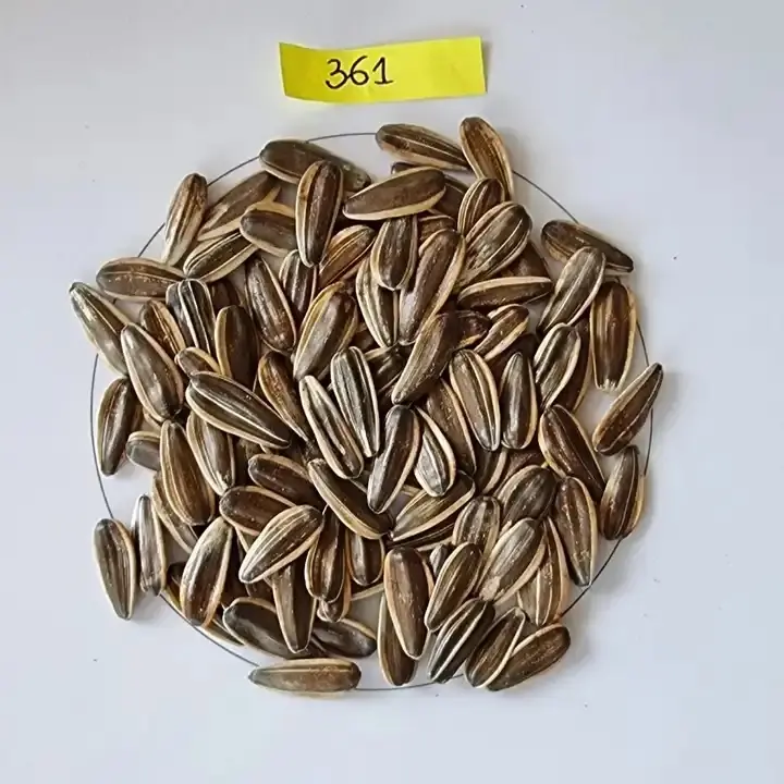 Graines de tournesol de croissance naturelle 361 graines de tournesol chinoises une tonne de graines de tournesol crues