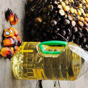 น้ำมันปาล์มออร์แกนิกธรรมชาติน้ำมันปรุงอาหารที่บริโภคได้จากการกลั่น100% โรงงานกำหนดแบรนด์ได้เองขายส่งเป็นจำนวนมากผู้ส่งออก - Product Image 6