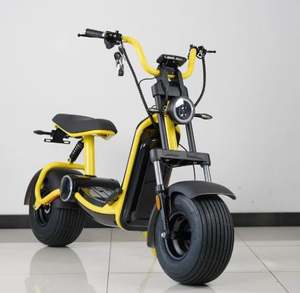 NOUVEAU - Vente d'usine FAV - Nouveau modèle de moto électrique de course certifiée EEC/COC - Product Image 5