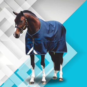İkonik Pro orta standart kış % at örtüsü katılım tarzı - Product Image 5