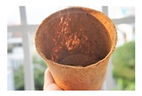 Pot de fleur de coco en fibre de coco de qualité supérieure 100% Pot de fleur de coco biodégradable écologique à bas prix prêt à expédier