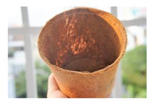 Pot de fleur de coco en fibre de coco de qualité supérieure 100% Pot de fleur de coco biodégradable écologique à bas prix prêt à expédier - Product Image 6