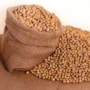 High Quality Premium Natural Non-GMO Yellow <b>Soybean</b> Seeds (Soya Bean/Soy Beans) Bulk Dried <b>Soybeans</b> Grain 25kg 24 Months Shelf - Product Image 1