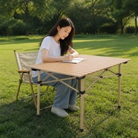 Table de pique-nique pliante en acier inoxydable pour le camping