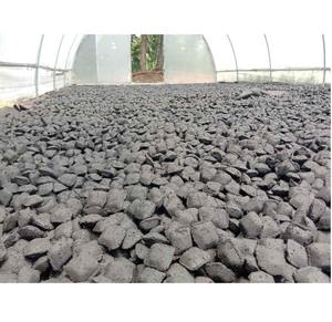 Cáscara de Coco Natural de Alta Calidad en Forma de Almohada para Barbacoa o Asado y Cocina al Aire Libre Disponible a Precio de Fábrica - Product Image 2