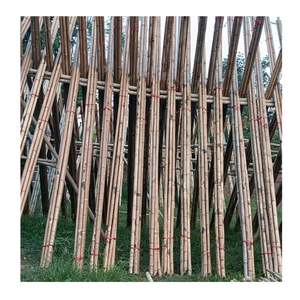 Postes de bambú duraderos para señalización al aire libre e instalaciones decorativas Postes de bambú de alta calidad para múltiples usos - Product Image 5
