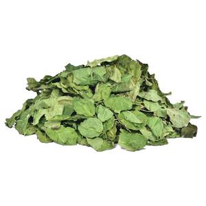 Feuilles de moringa naturelles de qualité supérieure pour l'exportation au prix le plus bas feuille de moringa fournie par le principal fournisseur du Vietnam - Product Image 5