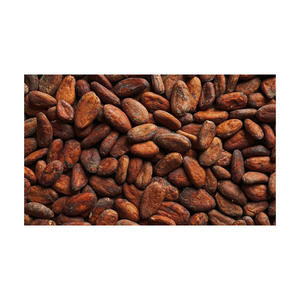 Cocoa <b>Beans</b> Ariba <b>Cacao</b> <b>Beans</b> Dried Raw <b>Cacao</b> Fermented Cocoa <b>Beans</b> - Product Image 5