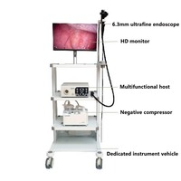Caméra endoscopique à prix d'usine, endoscopie gastro-intestinale, endoscope vidéo 6,3 mm, endoscope vétérinaire pour chien et chat