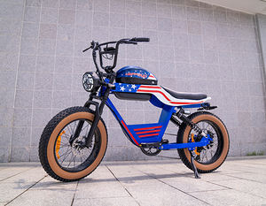 Happyrun G100 Fastest Electric <strong>Bike</strong> 2000W Dual Batteries Long Range Motorcycle Battery 48V 38Ah US Stock - Product Image 3