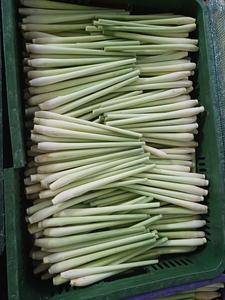 Bâtonnets de citronnelle surgelés IQF de qualité supérieure, entiers, pour la transformation alimentaire, en vrac, prêts à l'emploi - Product Image 4