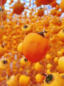 ลูกพลับอบแห้งคุณภาพสูงผลไม้แห้งจากดอกบัวสีน้ำเงินเหมาะสำหรับตลาดอาหาร - Product Image 3