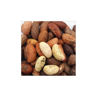 Healthy Garcinia Kola(Bitter Kola) / Fresh Dried Bitter Kola/ Bitter Kola <b>Nuts</b> Powder - Product Image 3