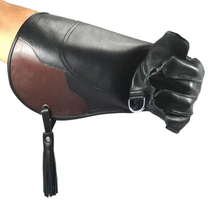 Gants de Falconerie en Cuir Véritable Sur Mesure, Robustes et Anti-Morsure, pour Manipulation des Rapaces - Meilleure Qualité en Cuir de Vache Véritable - Product Image 3