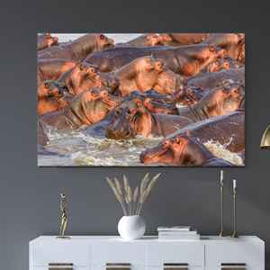 Toile imprimée élégante : Art mural en verre Hippo Glass - Motif animalier, toile enveloppée 1P - Product Image 1