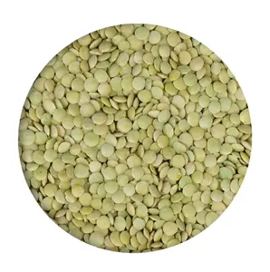 Green lentils at wholesale price Red Lentils, Green Lentils, Brown Lentils