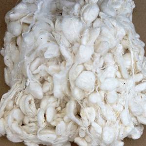 Approvisionnement en gros de graines de coton naturelles avec une durée de conservation de 2 ans pour l'alimentation animale de qualité alimentaire en provenance des Pays-Bas Marque propre - Product Image 1