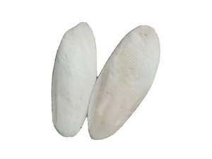 <b>Cuttle</b> <b>Fish</b> <b>Bone</b> with Cheap Price <b>Cuttle</b> <b>Fish</b> <b>Bone</b> Good Quality <b>Cuttle</b> <b>Fish</b> <b>Bone</b> Best Sale - Product Image 6