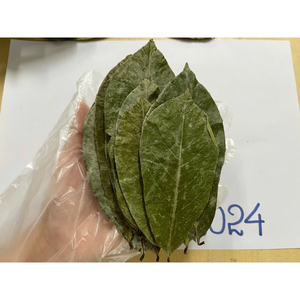 Feuilles de corossol déshydratées |   Fournisseur en gros Origine Vietnam |   PRIX LE PLUS BAS - Product Image 4