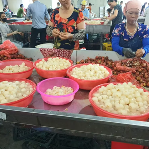 Litchi congelé Approvisionnement d'usine du Vietnam Litchi pelé IQF Parfait pour les jus Desserts et le thé à bulles - Product Image 2