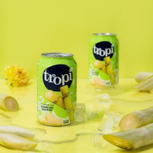 Mía 330ml đóng hộp nhiệt đới nước ép trái cây uống giá tốt nhất OEM tùy chỉnh nhãn hiệu riêng khác nhau nước trái cây uống - Product Image 1