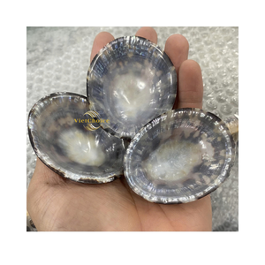 Coquilles de limpets en vrac, décoratives, naturelles, pour bricolage et design - Product Image 1