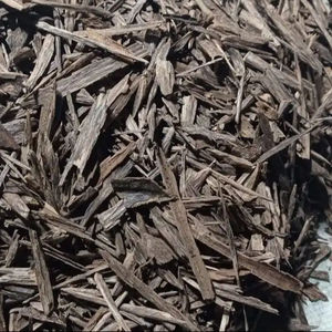 Nuevo Quemador de Incienso de Agarwood Orgánico, Ecológico y Natural, con Fragancia de Madera Natural, Color Marrón Apari, Precio al por Mayor - Product Image 1