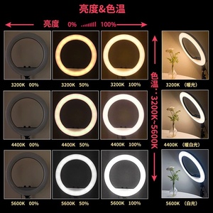 RL luce a LED Beauty da 18 pollici-luce di riempimento per fotografia professionale per <span class=keywords><strong>Influencer</strong></span> Live Streaming e ancore - Product Image 3