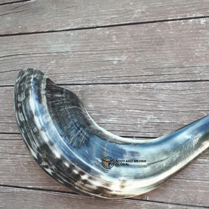 Vente en gros de cornes de shofar de bélier naturelles cornes d'animaux fabriquées à la main pour la décoration intérieure et les détaillants de cadeaux - Product Image 5