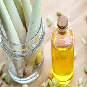 Huile essentielle de citronnelle pure pour l'aromathérapie, le massage, la peau, les cheveux, le diffuseur, le savon, la fabrication de bougies, fournisseur en gros OEM - Product Image 1